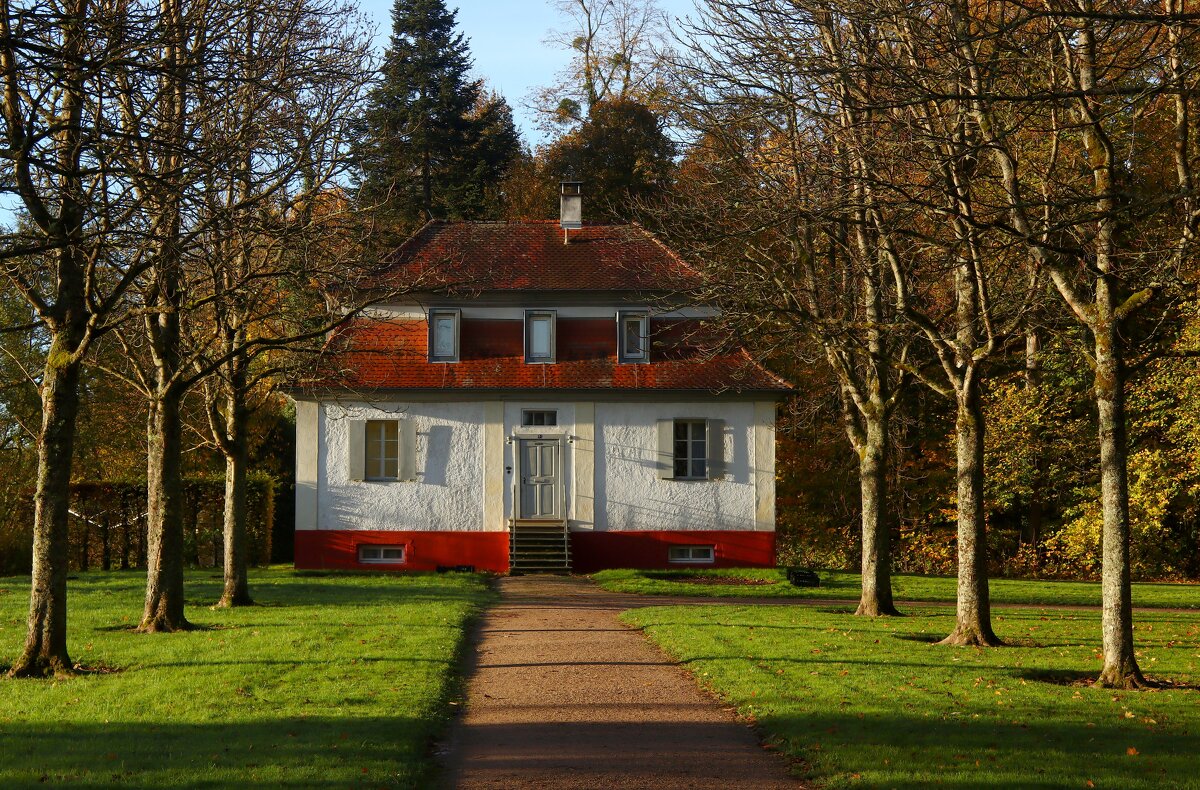 Домик в лесу - Юрий. Шмаков