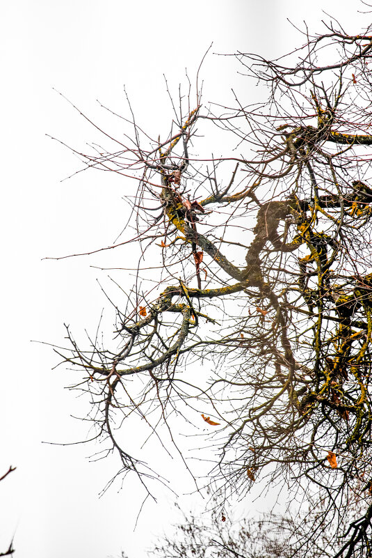 Напрягает - вид из окна Газпрома - Sergei Vikulov