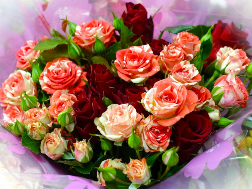 Букет роз - Aida10 