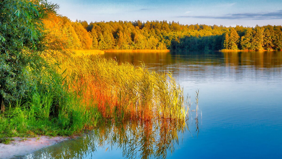 Вспоминая лето (Белоозёрск) - Дмитрий Балашов