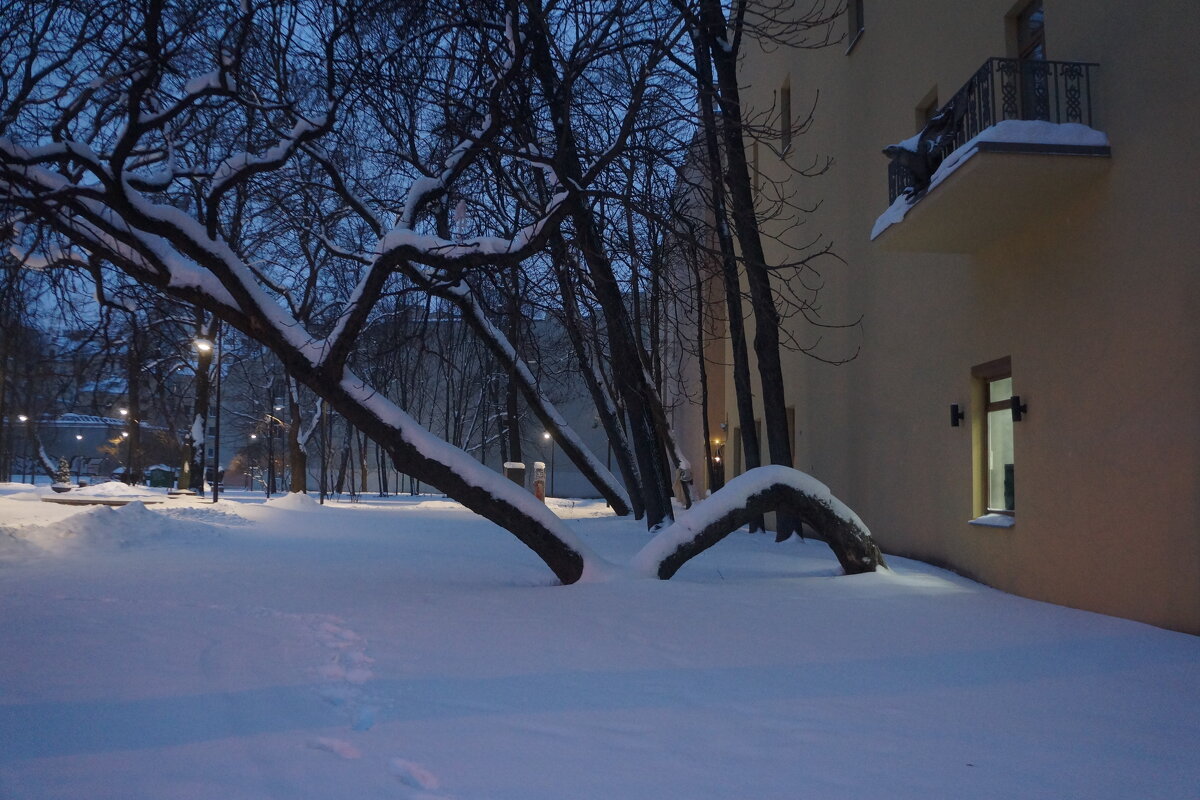 Сквер Андрея Петрова - zavitok *