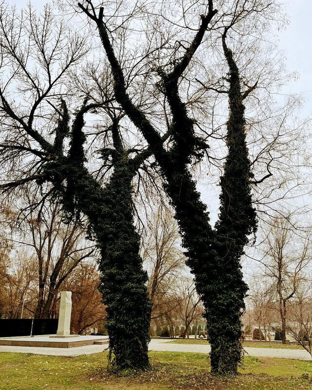 Январь - Георгиевич 