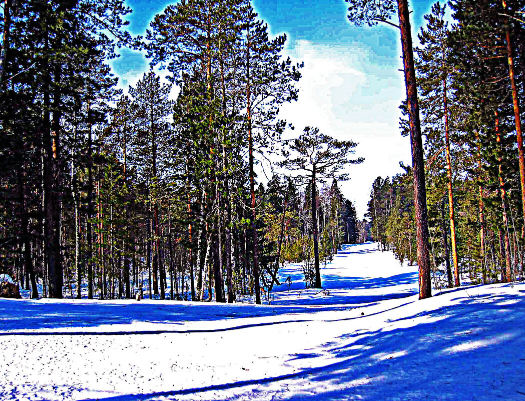 Лесная просека! - Владимир 