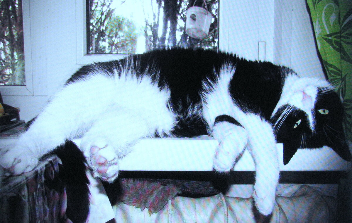 Балдеет - Людмила Смородинская