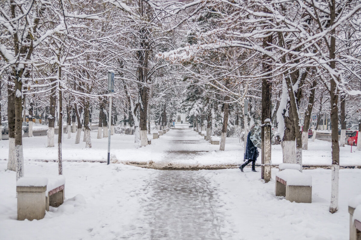 Шел мокрый снег - Игорь Сикорский