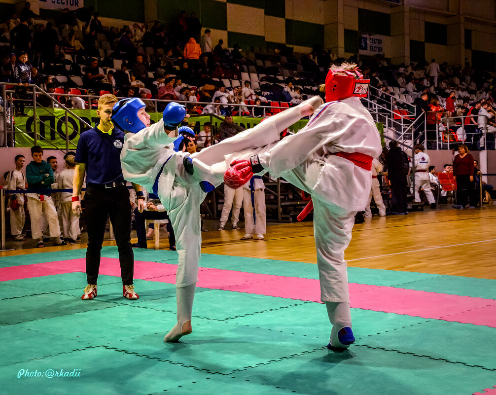 МЕЖДУНАРОДНЫЙ ФОРУМ БОЕВЫХ ИСКУССТВ - arkadii 