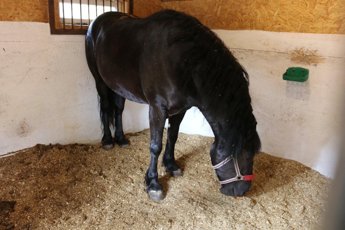 Заполярная ферма - Ольга 