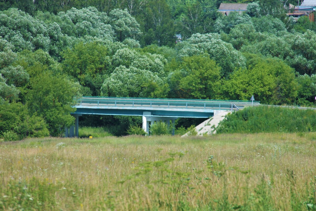 ПЕЙЗАЖ С МОСТОМ СРЕДИ ЛЕТНЕЙ ЗЕЛЕНИ - Валентина 