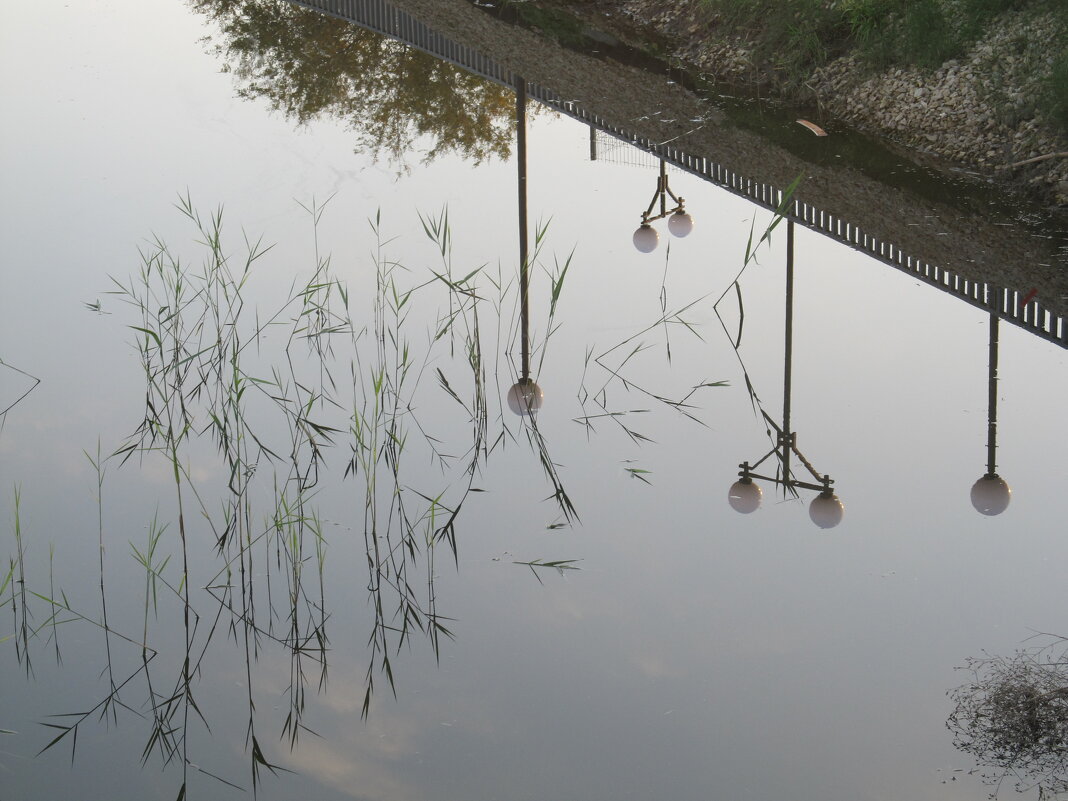 на набережной - Елена Шаламова