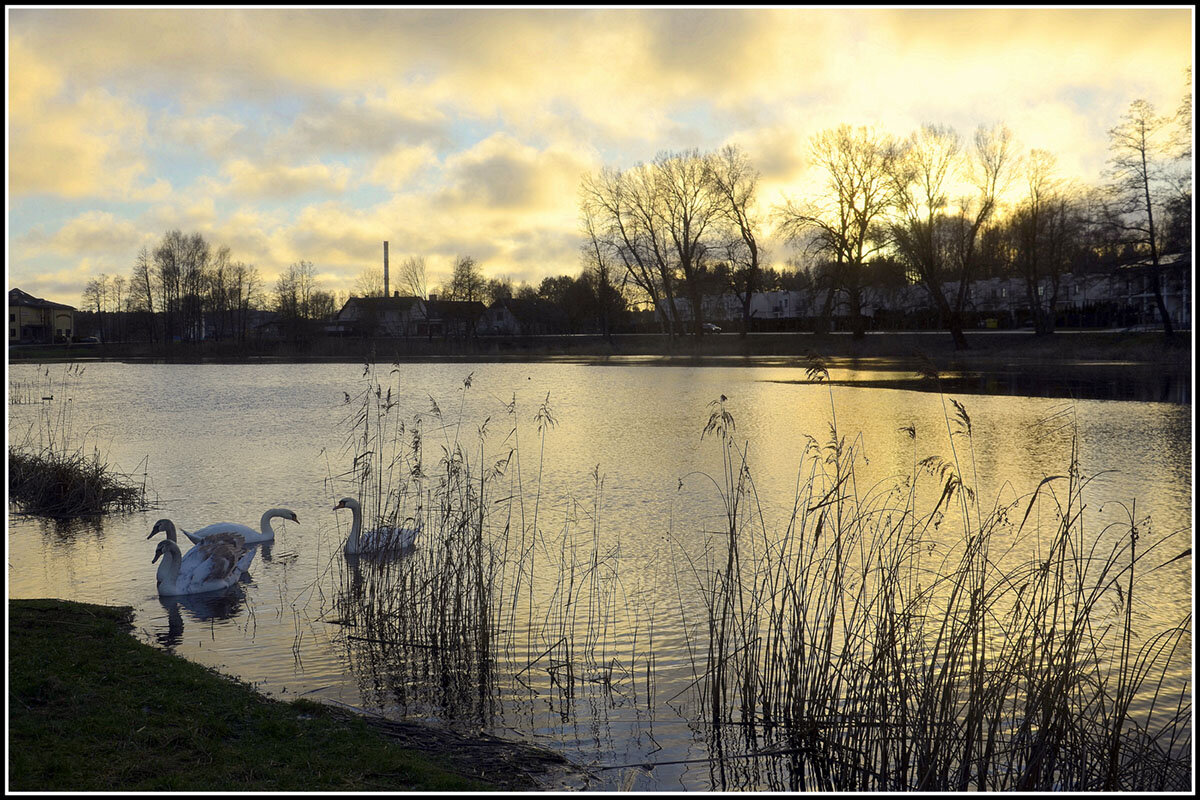 И такая зима - Aleksandr Gal
