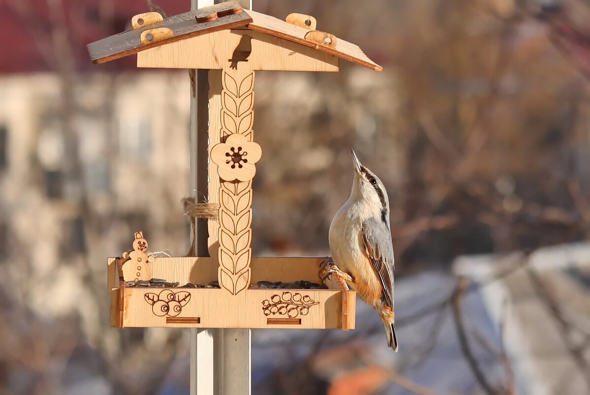 Эй вы там, наверху... - Татьяна Бравая