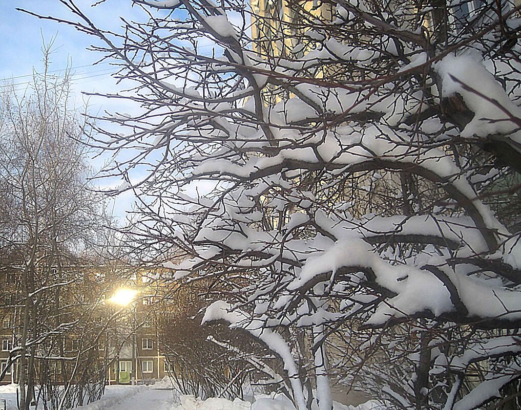 Зимой - Елена Семигина