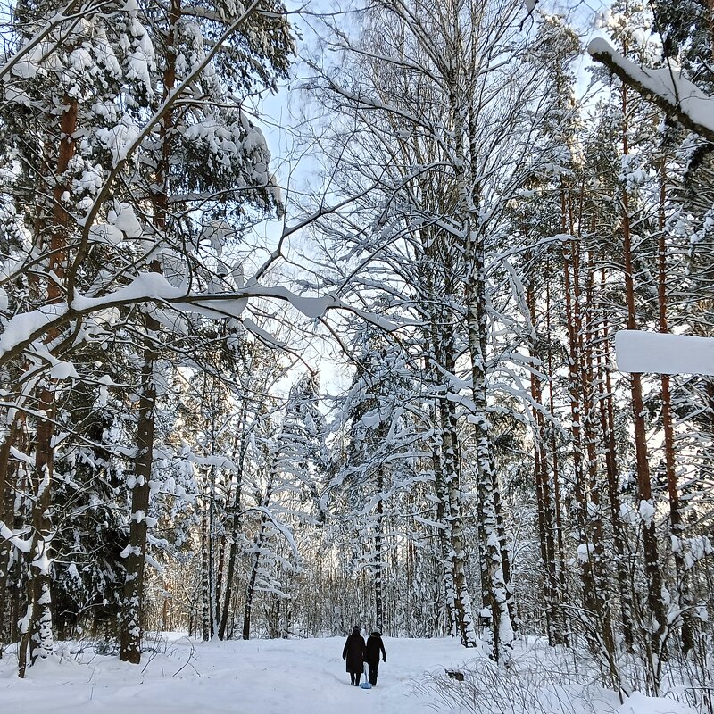 природа  везут  воду с родника - Владимир 