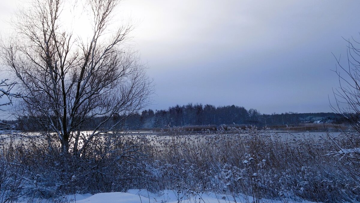 В окрестностях Калининграда - Рита Симонова