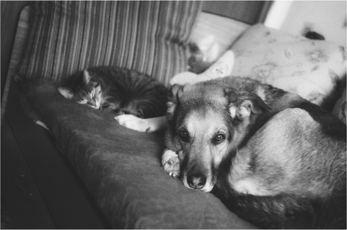 Друзья - Сергей В