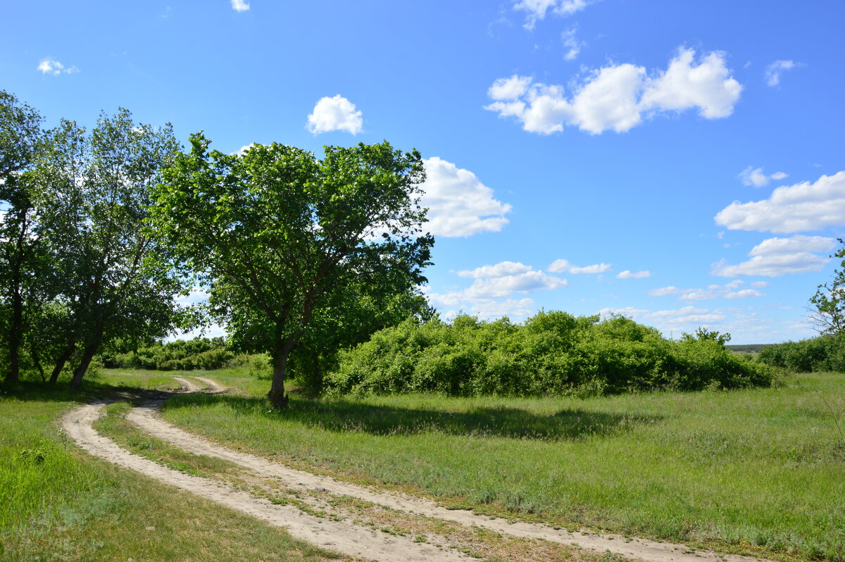 Мои дороги. - Виктор 