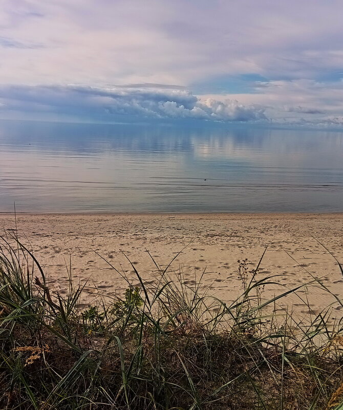 Августовские фотозарисовки .. - Татьян@ Ивановна