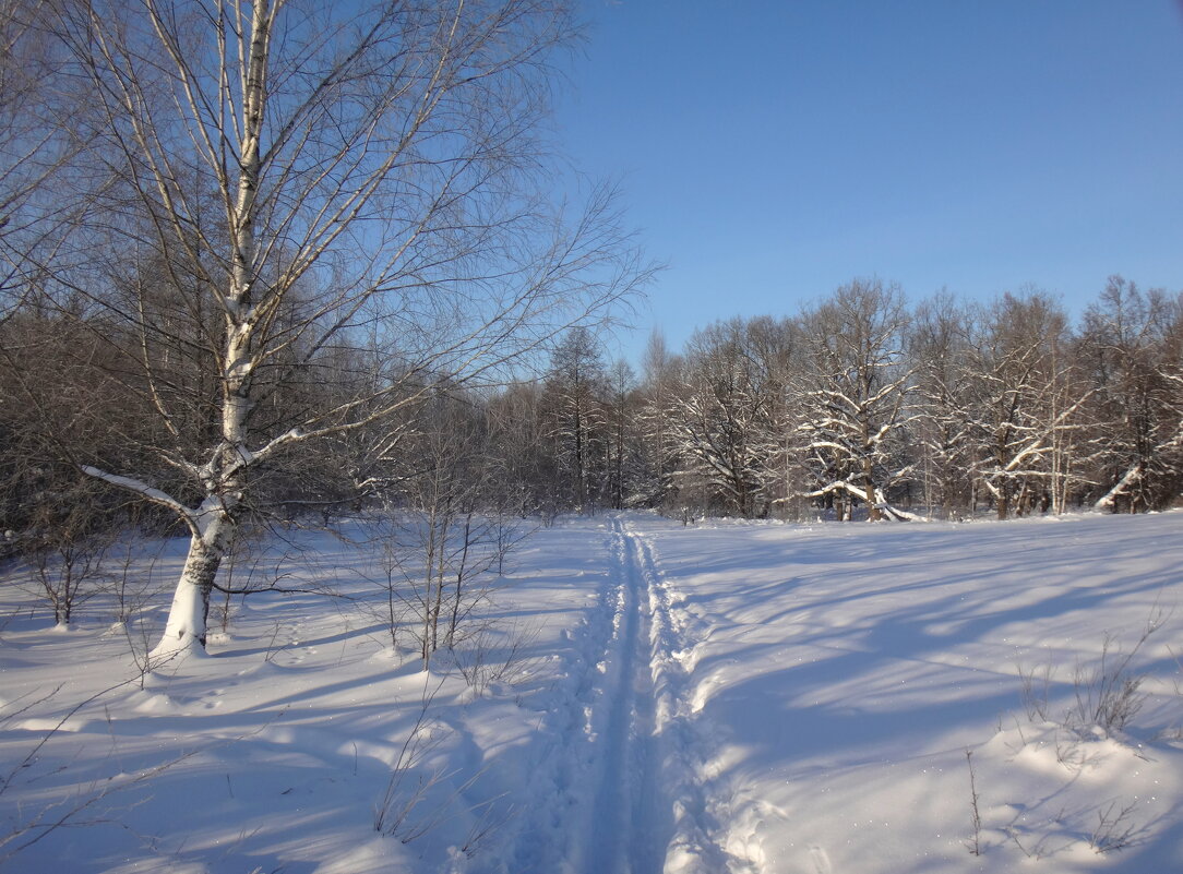 Кто куда, а мы на лыжах ) - Андрей Зайцев