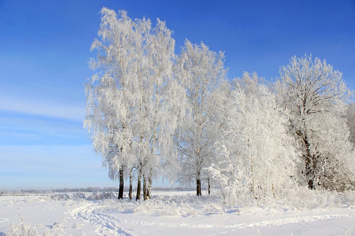 Зима чародейка. - Сергей 