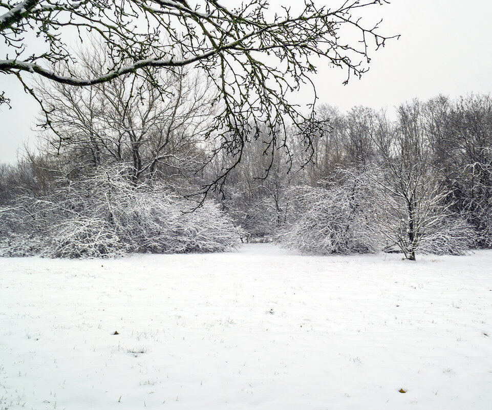 *** - Игорь Протасов