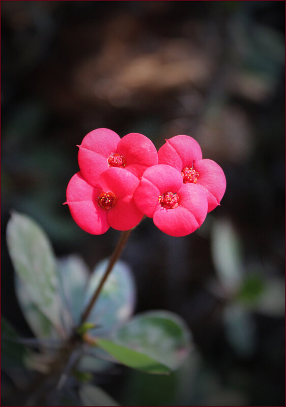 *** - Александр. AVG100 ---