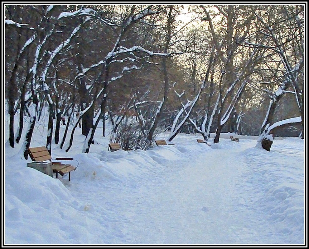 В парке - Ольга Довженко