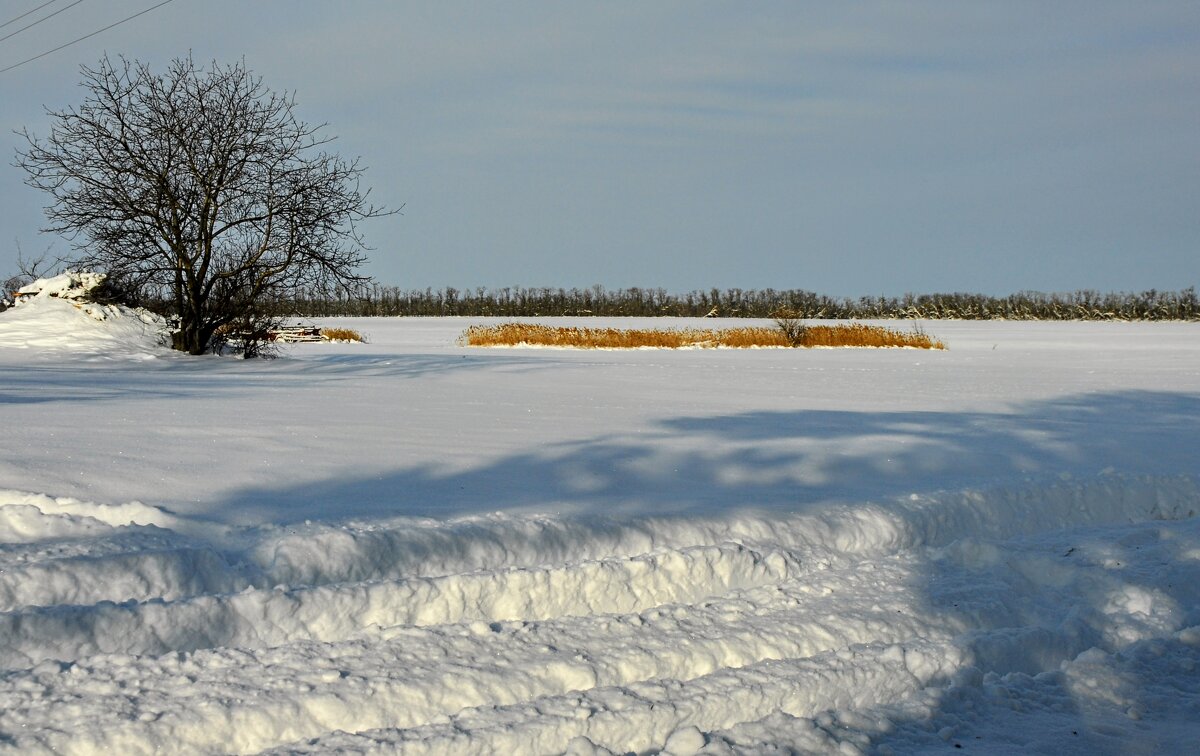 Январь. Сегодня. - Владимир 