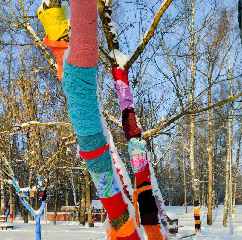 Акция "Тёплый лес" - Галина Бобкина