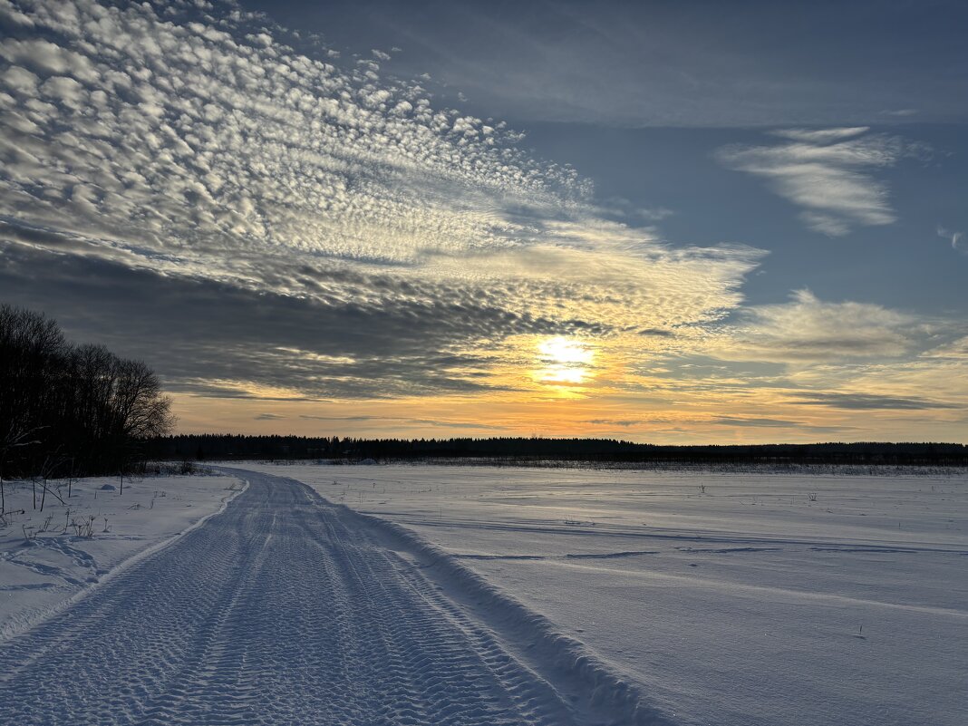 Зимник - Ольга Савельева 