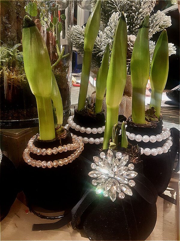 Лучистая красота! - Нина Андронова