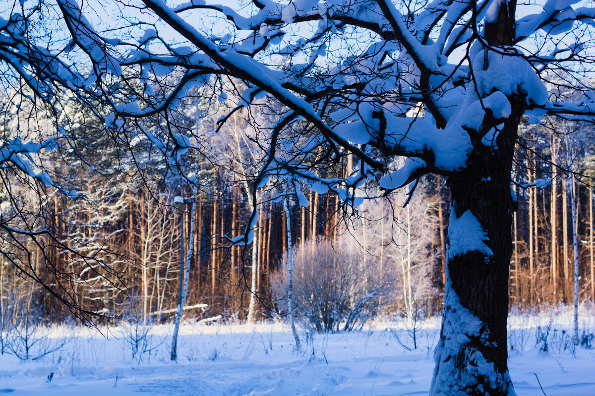ясный морозный денек - Артём 