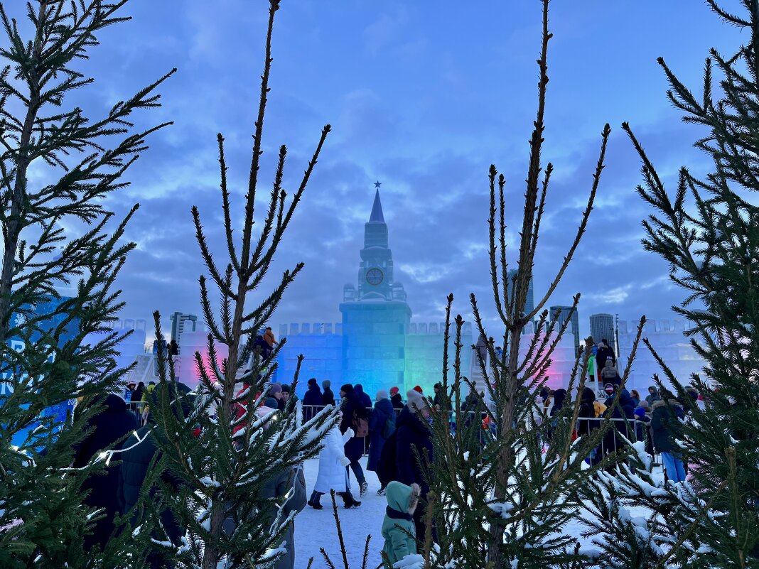 Новогодний парк - Александр Конов