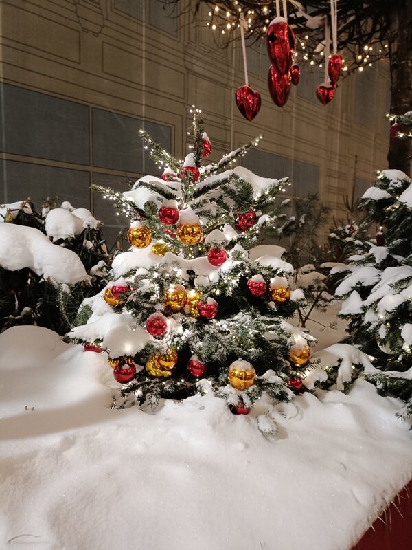 мороз снежком укутывал... - Галина R...