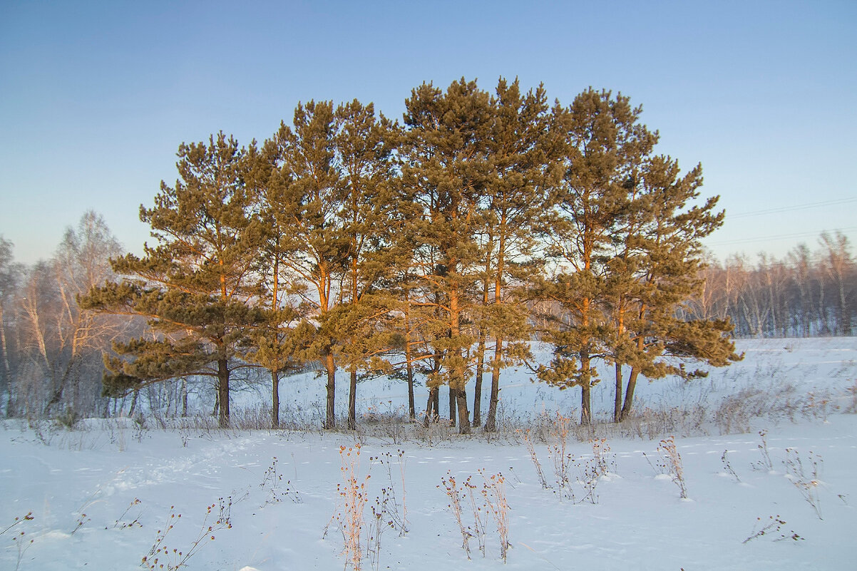 В лучах утреннего зимнего солнца - Владимир Кириченко