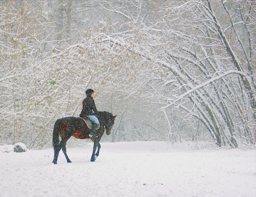 Тренировка в метель - Галина Нестратова