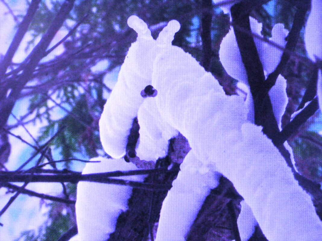 Кусачка - Людмила Смородинская