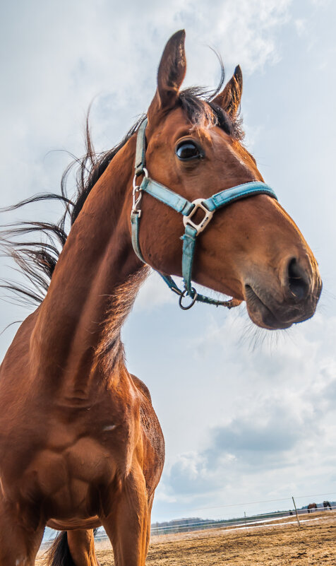 Огонёк - Олег Загорулько