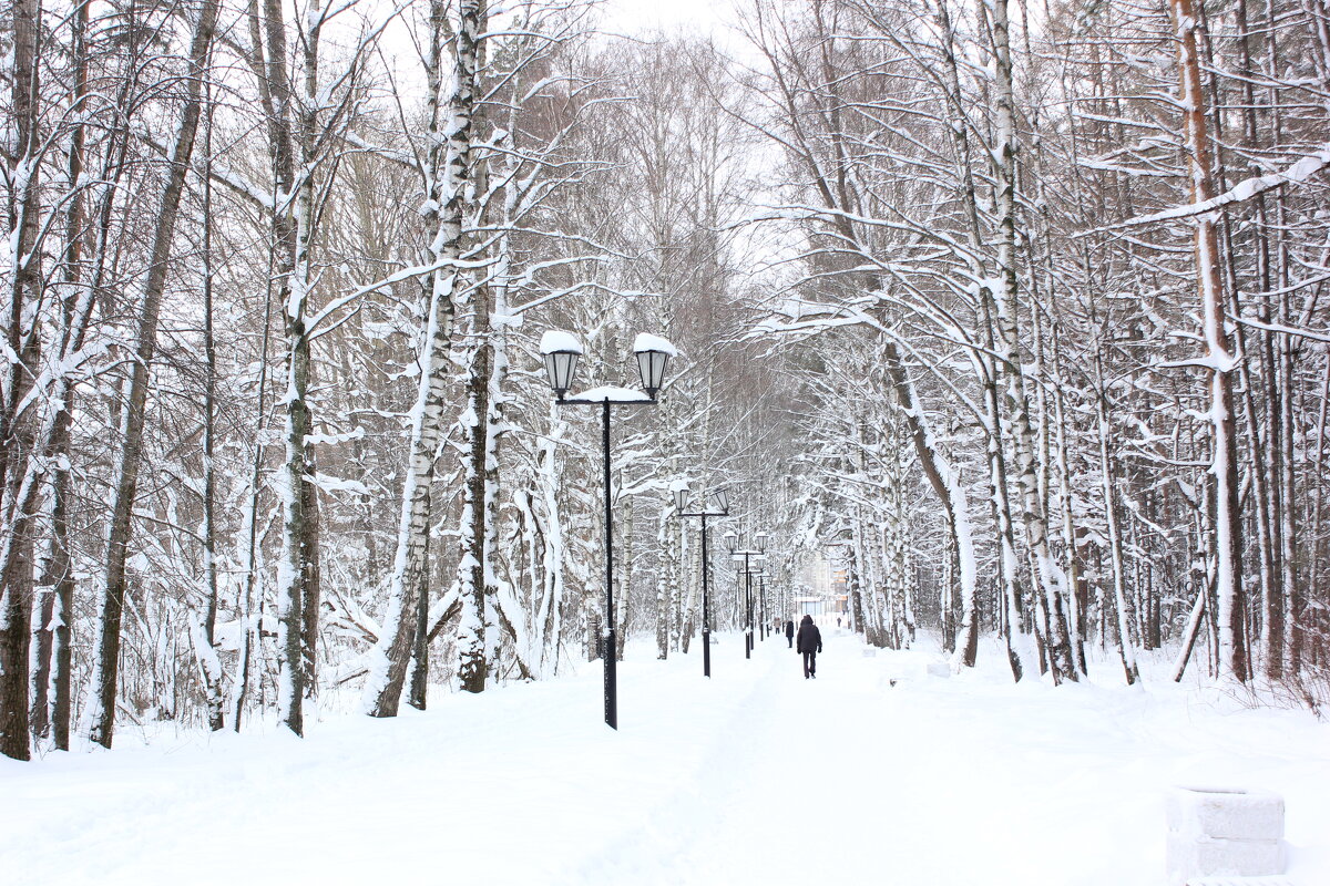 Белым-бело - Alisia La DEMA