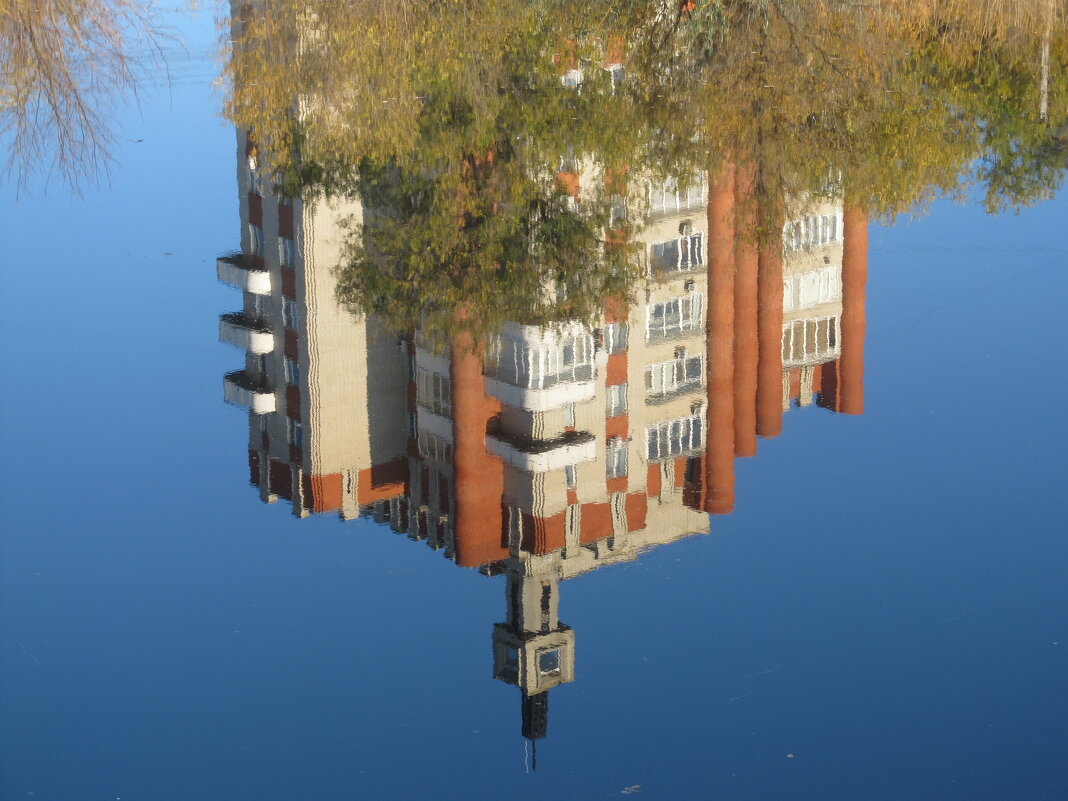 отражённый мир - Елена Шаламова