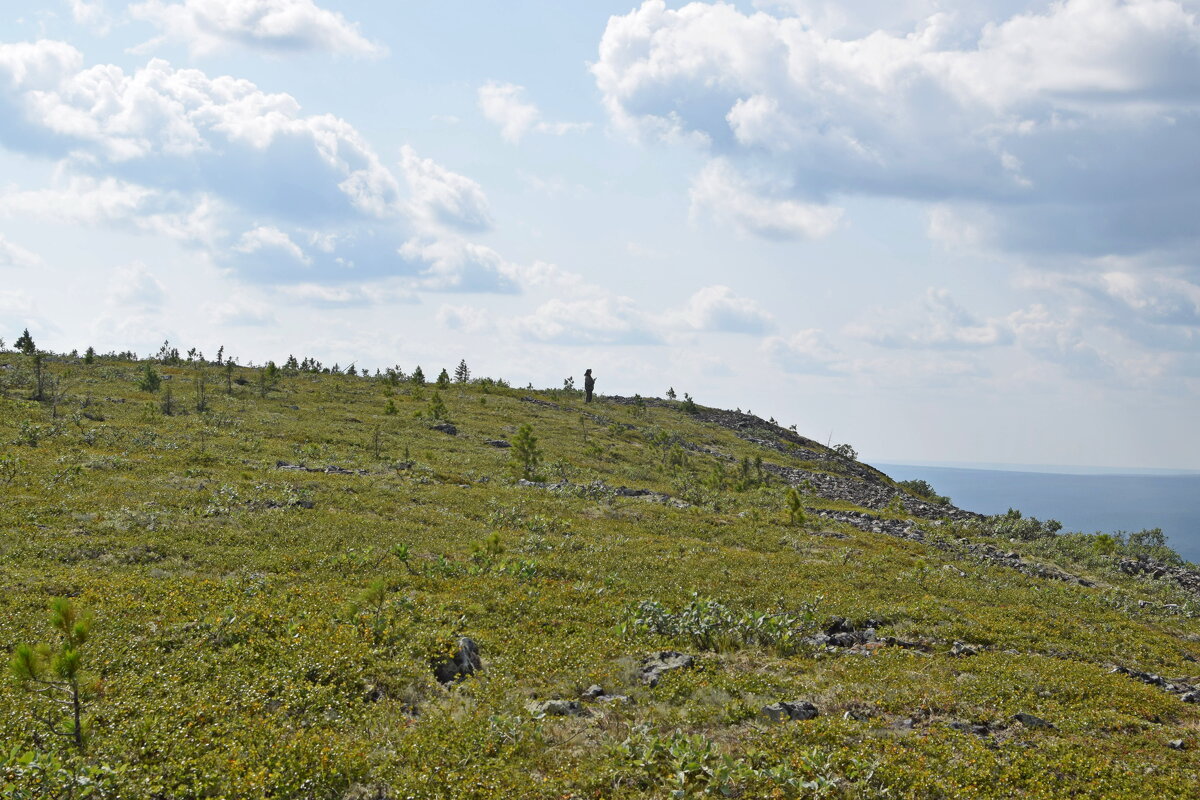 На горе Тима из. - ВикТор Быстров