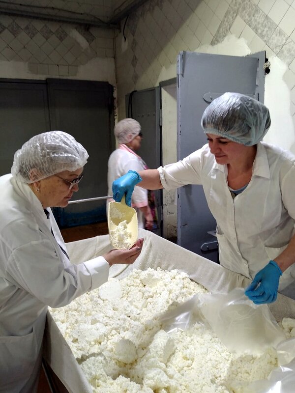 Молочный завод. - nadyasilyuk Вознюк