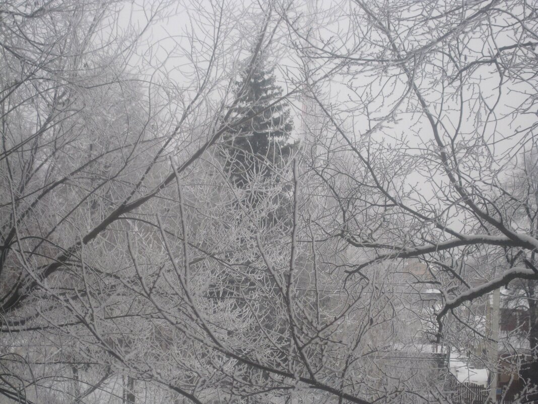 В снежном плену - Елена Семигина