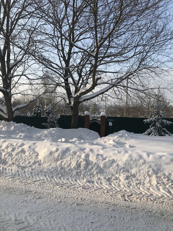 В январе месяце. - Елена Семигина