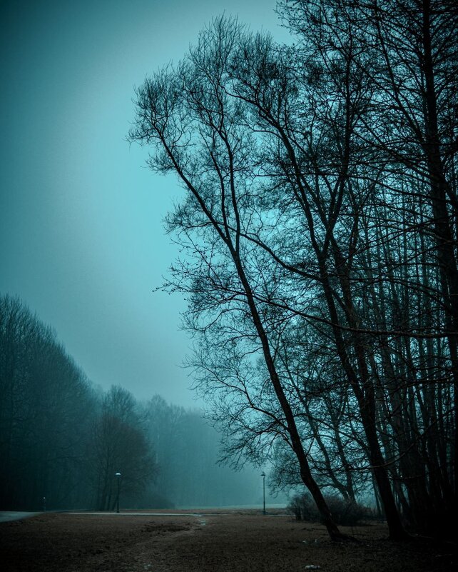 Мистический парк - Илья Шенгелия