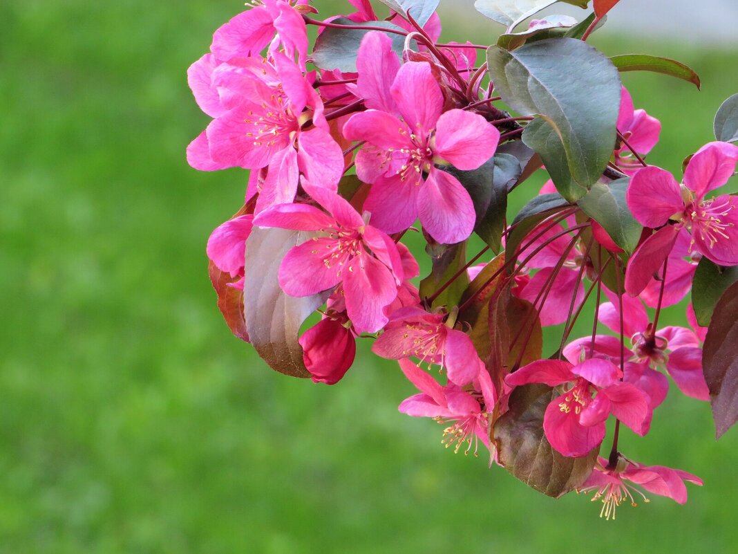 В ожидании весны - Лариса С.