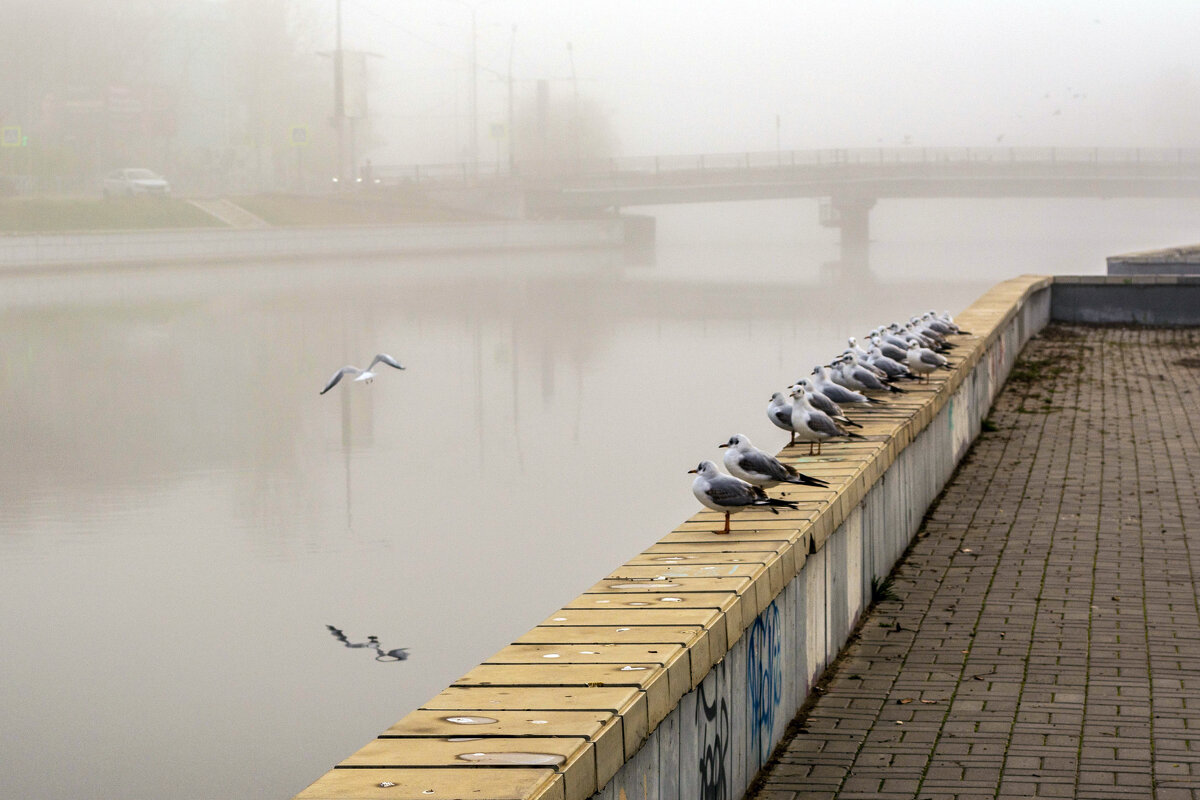 Банда - Владимир Жуков