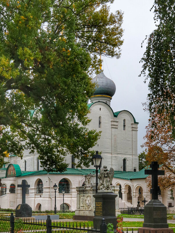 Новодевичий монастырь - Irene Irene