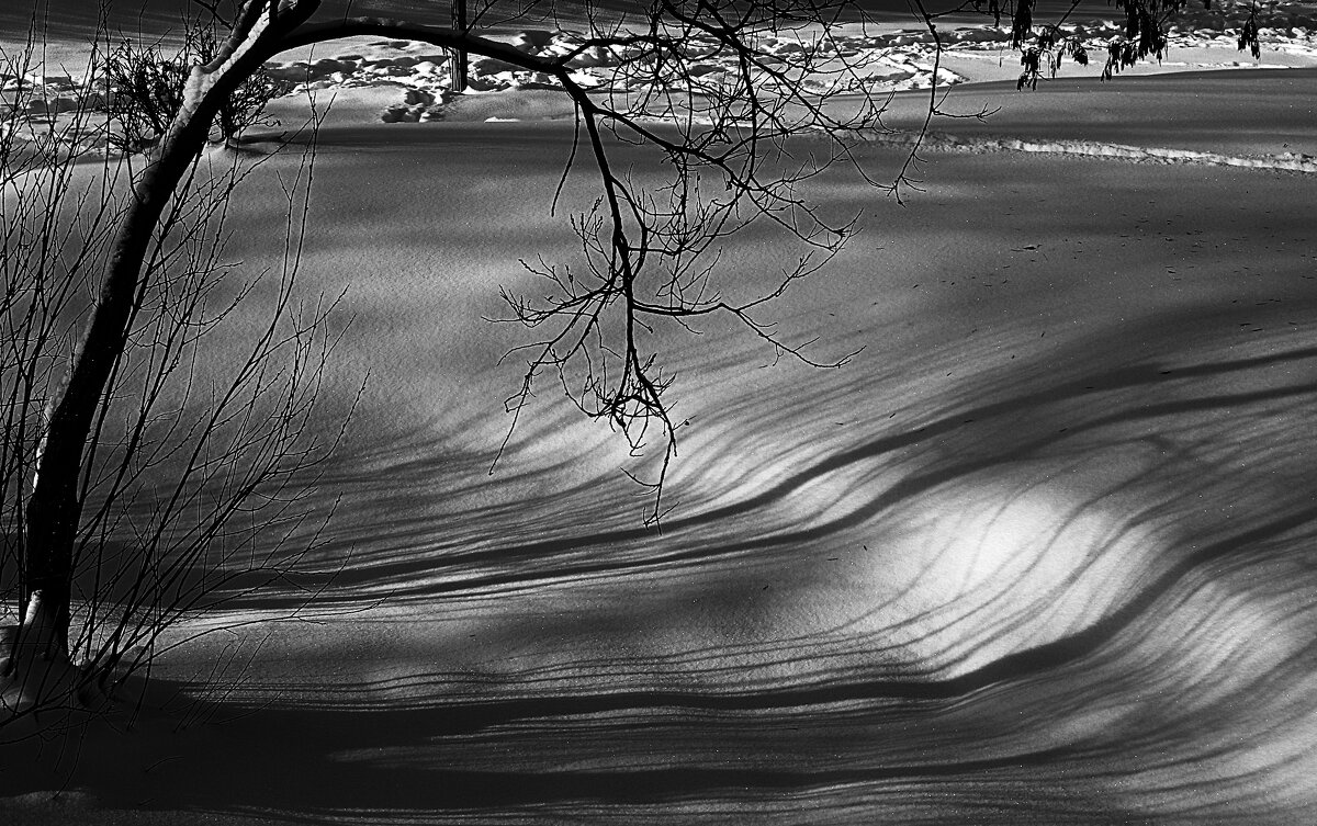 * - Василий Палий