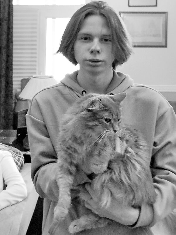 Длинношерстные - Александр Чеботарь