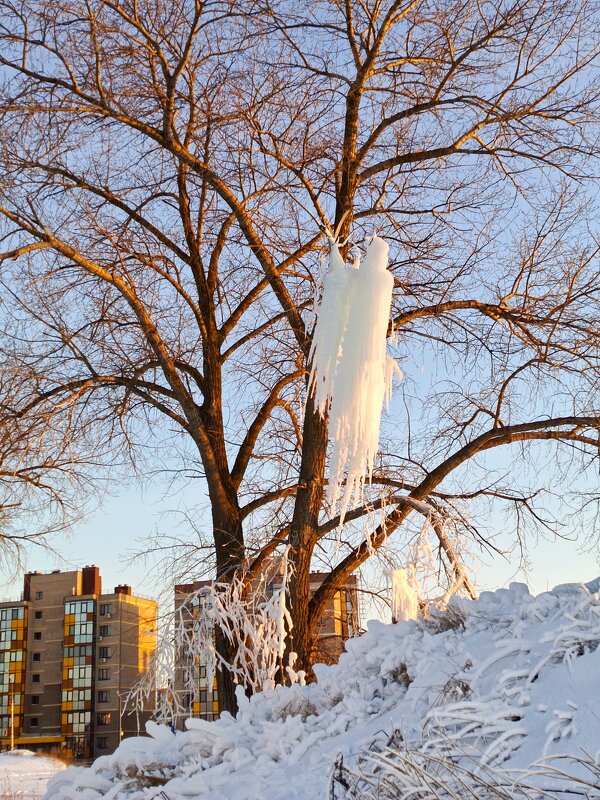 Загадки природы - константин 